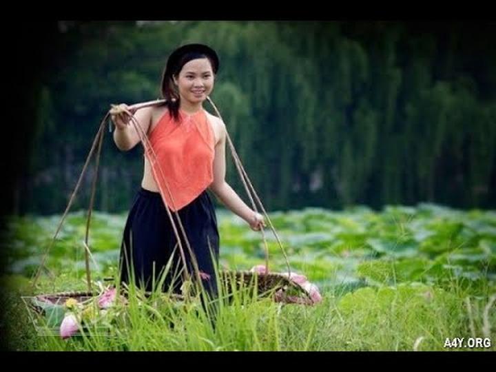 Chuyên gia Hotspot Matrix phân tích: Các nhà khoa học phân tích và marketing video