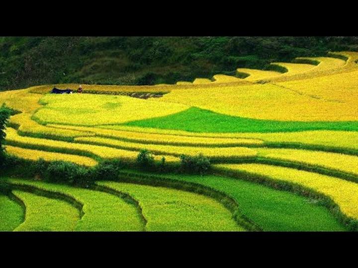 Xu hướng Chính Nữ trở lại, cổ vũ phụ: Hotspot Matrix tiết lộ bí quyết video viral