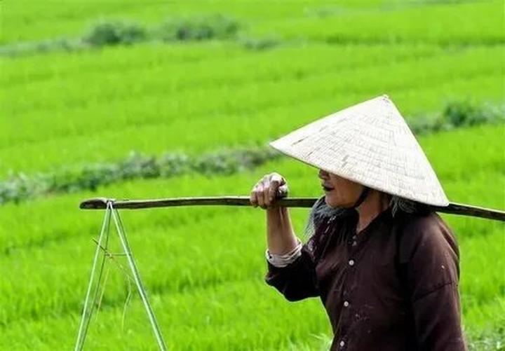 Chuyên gia Hotspot Matrix phân tích: Ta là ai trong thời đại A.I? và marketing video